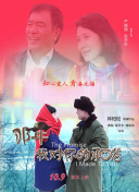 白帽SEO与描述标签优化的协同效应